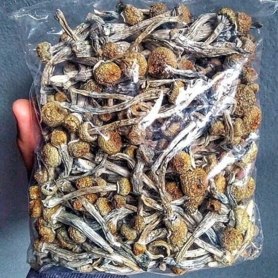 Shrooms